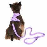 Dog Harness and Leash Rear View