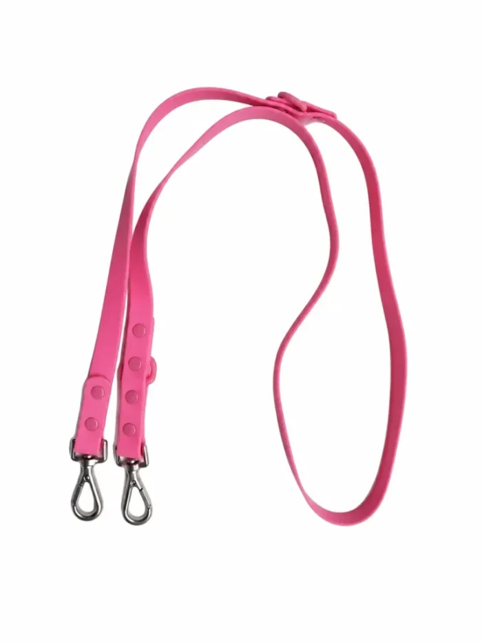 Dog Leash